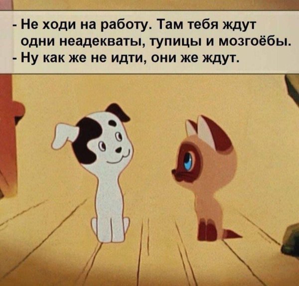 Не ходи на работу там тебя ждут одни неадекваты