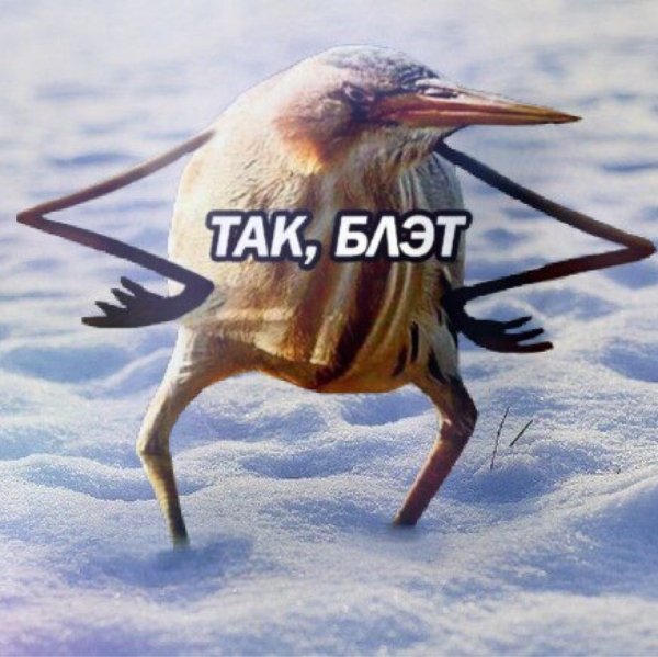 Птичка блэт