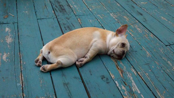 Im just tired