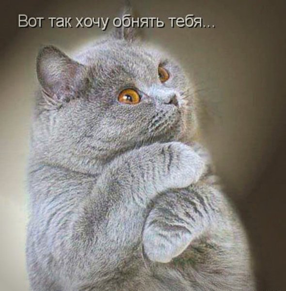 Вот так хочу тебя обнять