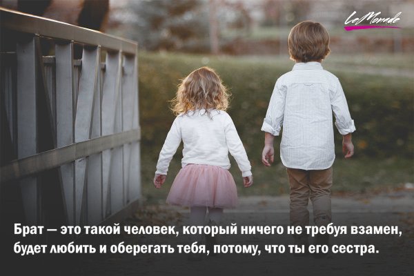 Цитаты про брата и сестру