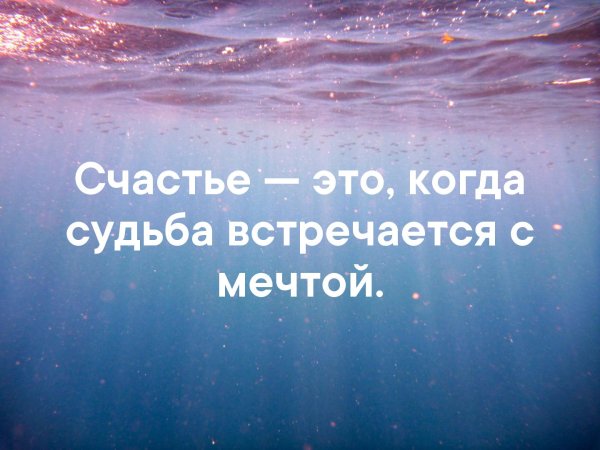 Любимое мы любим без причин