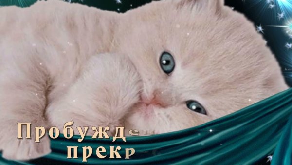 Спокойной ночи