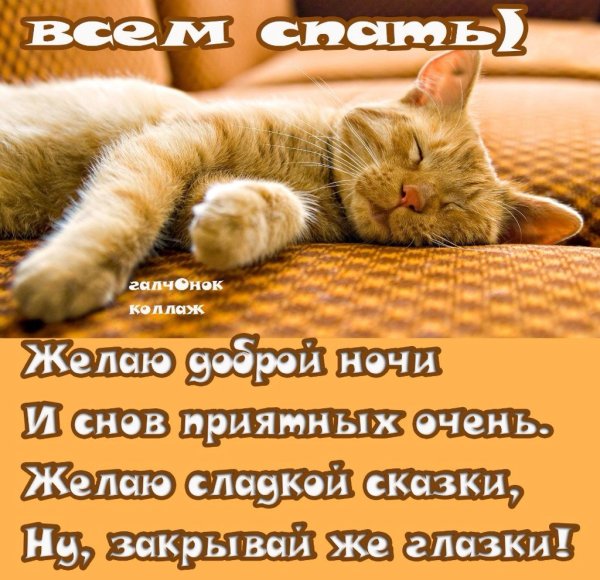 Пожелания спокойной ночи любимой