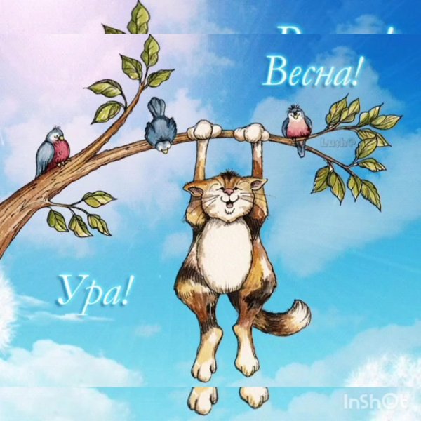 Открытки с весной прикольные
