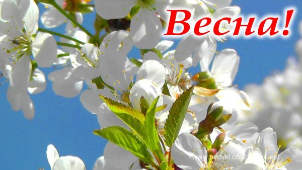 Заголовок Весна
