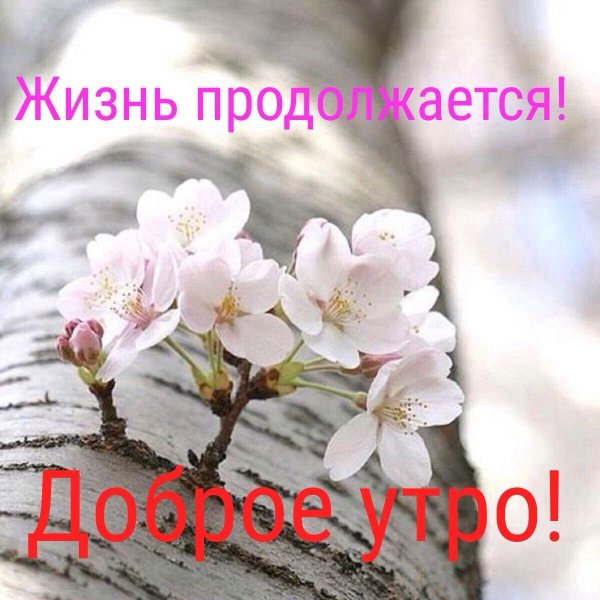Хорошего дня весны в душе