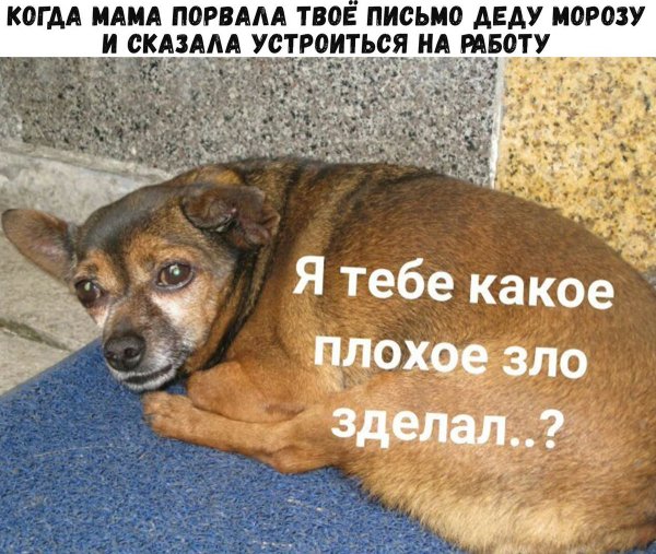 Какое зло я тебе сделал