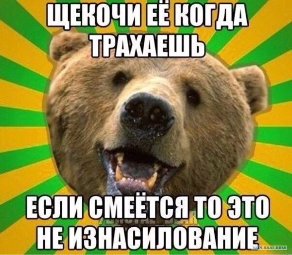 Медведь в горящей машине Мем