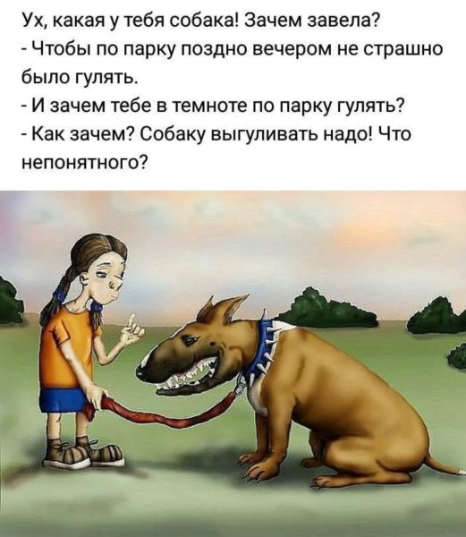 Почему люди заводят собак