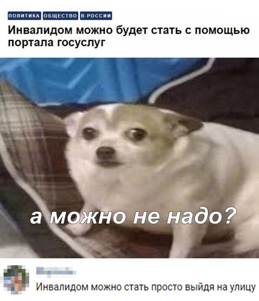 А можно не надо Мем собака