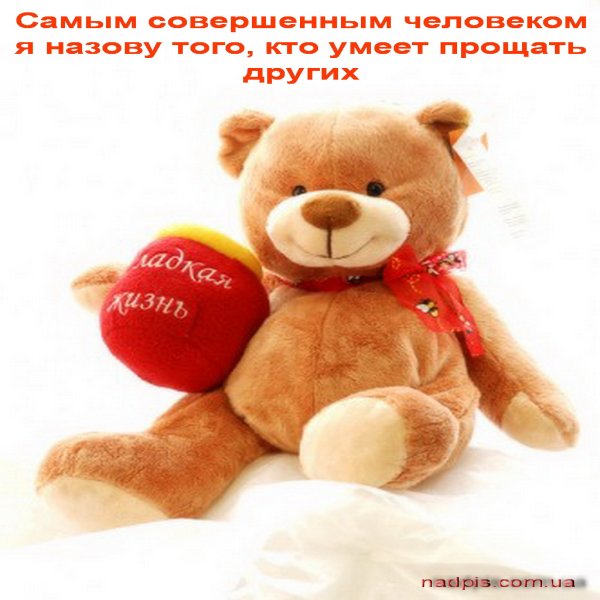 Мягкие игрушки открытки