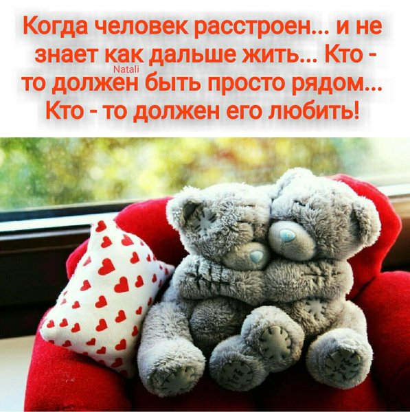 Мой любимый Медвежонок