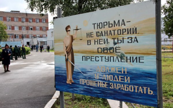 Баннеры в колонии