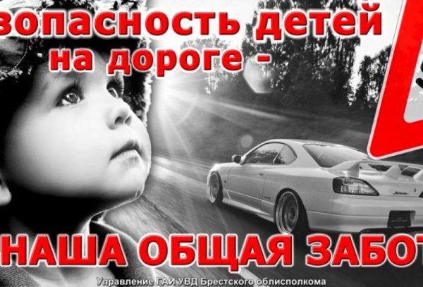 Безопасность на дороге для детей