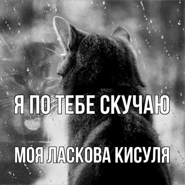 Я скучаю по тебе