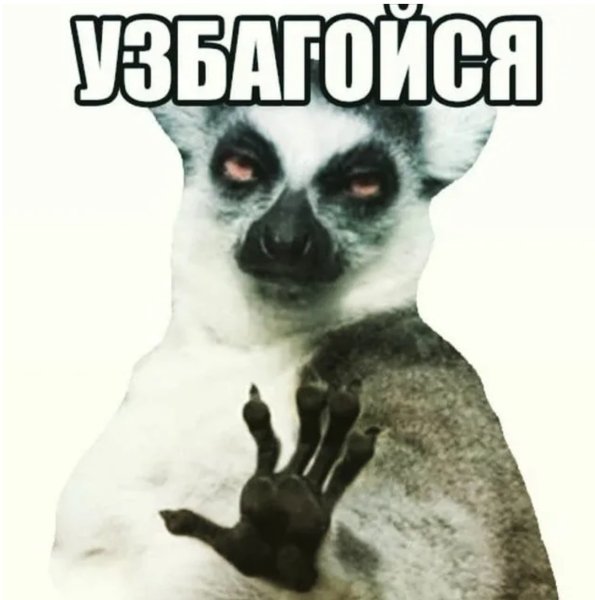 Узбагойся Мем