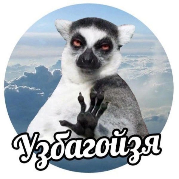 Лемур успокойся