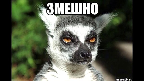 Я збагоен лемур
