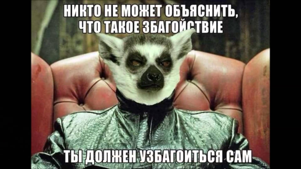Мемы с лемуром