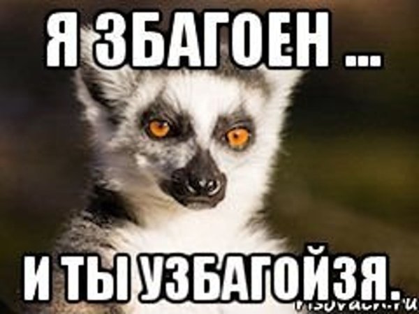 Узбагойся я збагоен