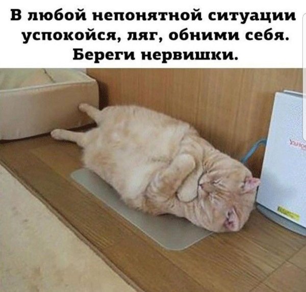 В любой непонятной ситуации ложись спать