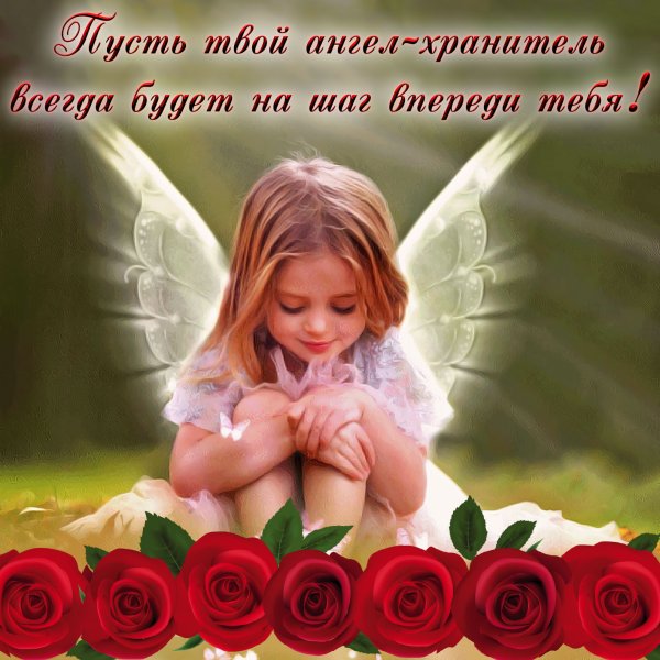 Ангелочки живые