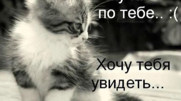 Скучаю