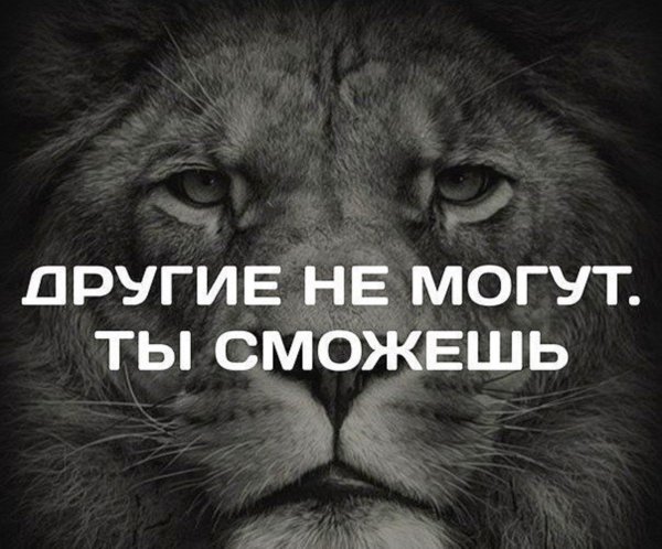 Ты сможешь мотивация
