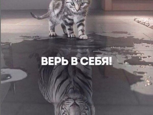 Верь в себя картинки