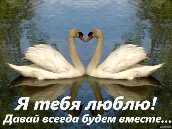 Мы всегда будем вместе