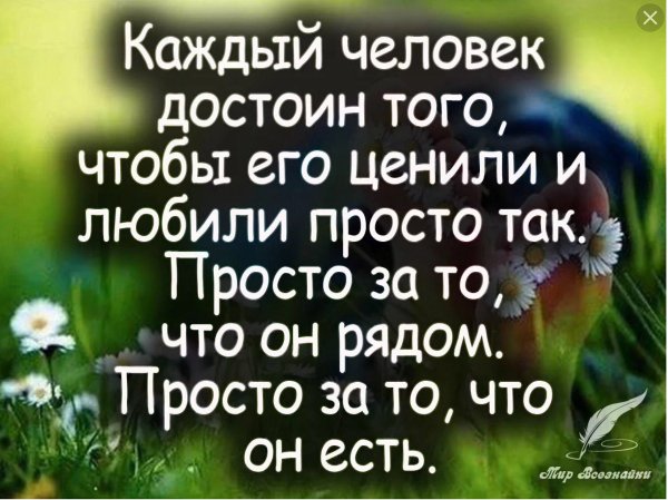 Любить просто так цитаты