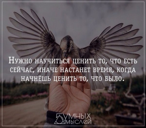 Цените то что есть