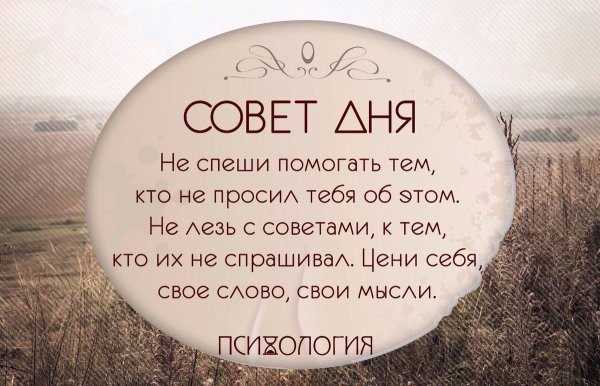 Цитаты про советы