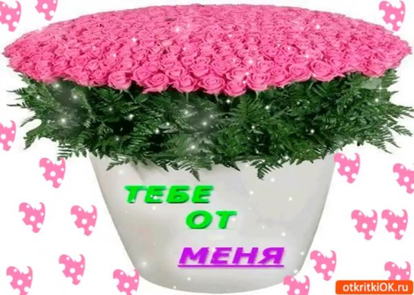 Цветы тебе от меня