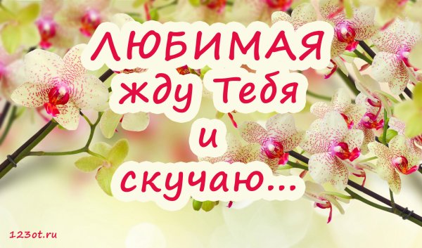 Я жду тебя любимый