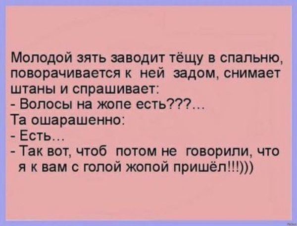 Шутки про зятя