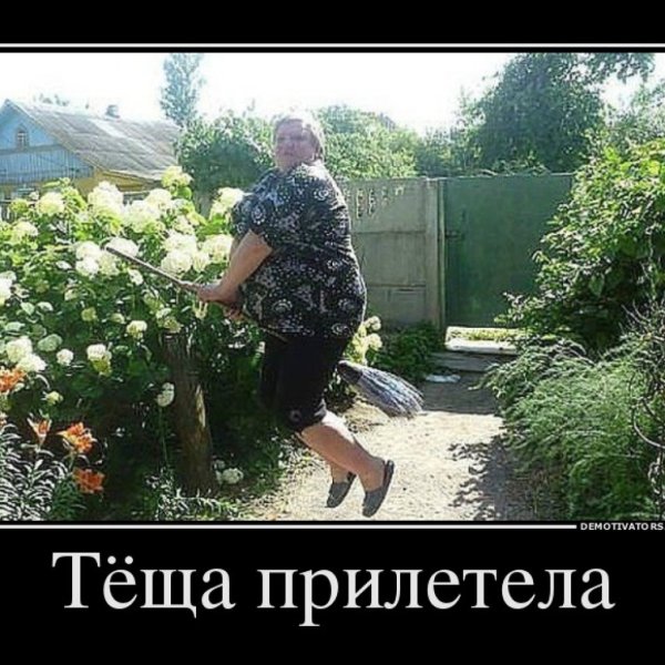 Приколы про тещу