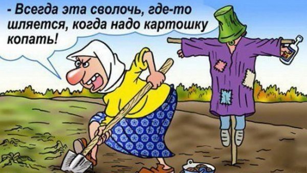 Дача юмор