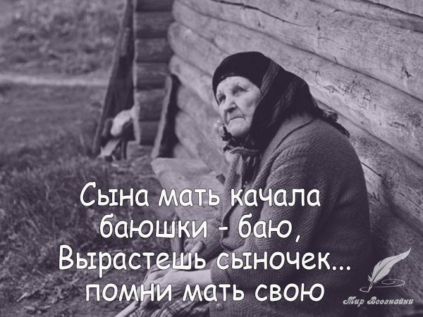 Высказывания про сына