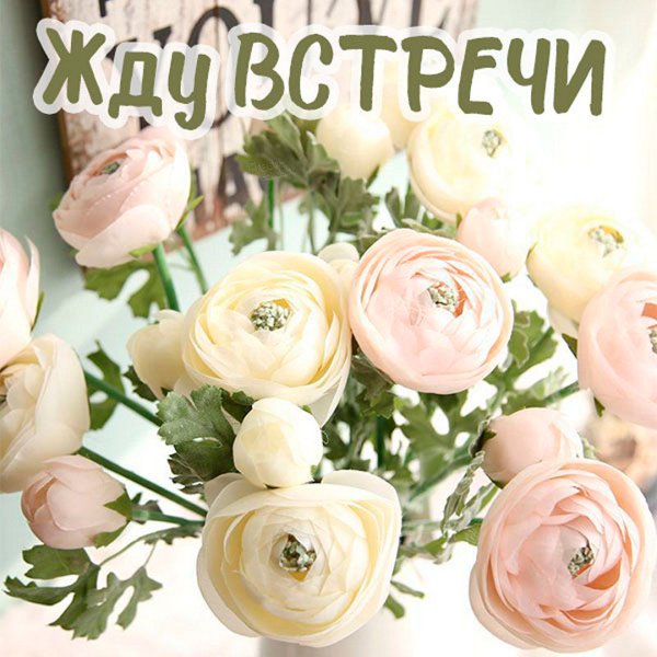 Жду тебя любимая