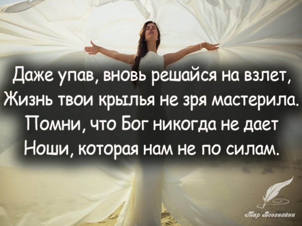 Цитаты про падение и взлеты