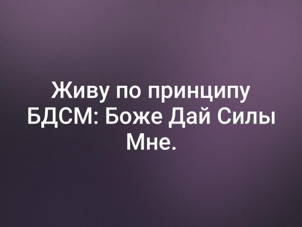Живу по принципу