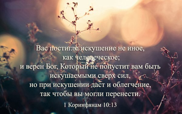Цитаты из Библии о жизни