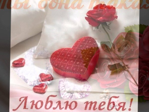 Я люблю тебя любимая моя