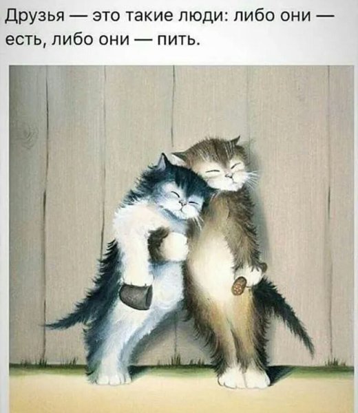 Друзья это такие люди либо они есть либо они пить открытка