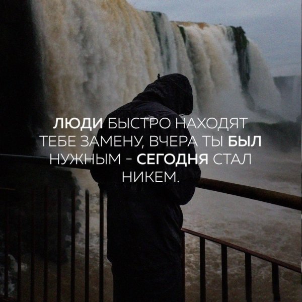 Люди быстро находят замену цитаты
