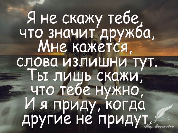 Цитаты про друзей