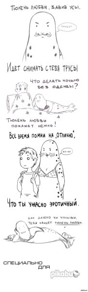 Тюлень любви завив усы