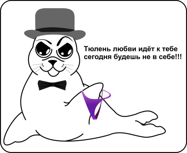 Тюлень любви
